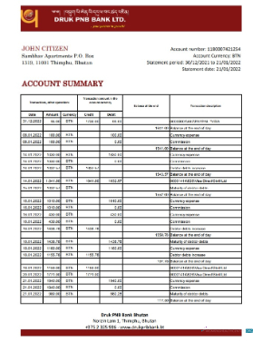 Download Bhutan Druk PNB bank statement excel Photoshop template